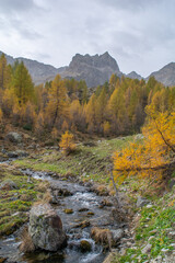 Fototapeta na wymiar Autunno in Valle Stura: tripudio di colori, vette, laghi, cascate e flora alpina