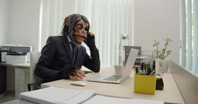Monkey Businessman in Office talking on phone