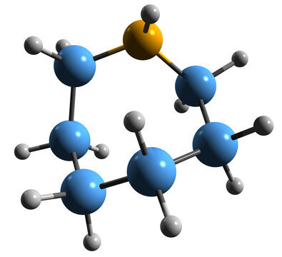  3D image of Azepane skeletal formula - molecular chemical structure of Hexamethyleneimine isolated on white background
