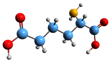 3D image of a-Aminoadipic acid skeletal formula - molecular chemical structure of metabolite isolated on white background