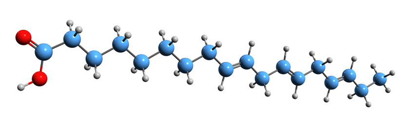 Obraz premium 3D image of alpha-Linolenic acid skeletal formula - molecular chemical structure of Octadecatrienoic acid isolated on white background
