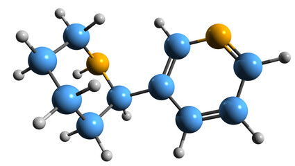 3D image of Anabasine skeletal formula - molecular chemical structure of pyridine and piperidine alkaloid isolated on white background