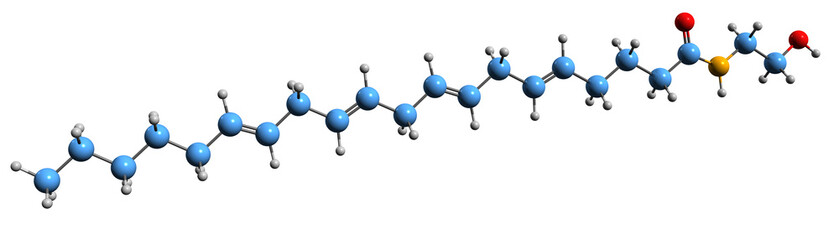 3D image of Anandamide skeletal formula - molecular chemical structure of N-arachidonoylethanolamine isolated on white background
