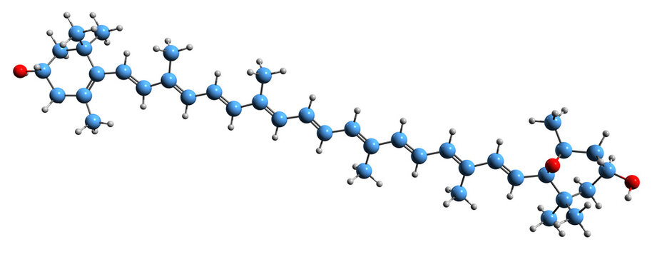 3D image of antheroxanthin skeletal formula - molecular chemical structure of xanthophyll cycle intermediate isolated on white background