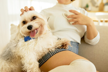 Cropped image of unrecognizable woman in skirt resting on couch, holding white mug with coffee, stroking her little chinese crested dog showing tongue, leaning her paws on its owners legs