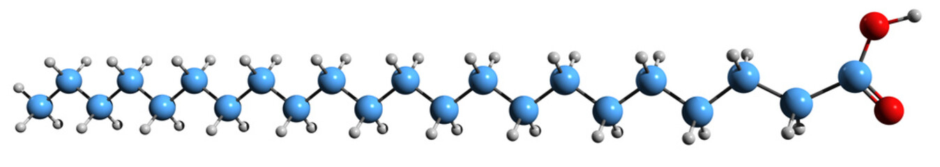  3D image of Behenic acid skeletal formula - molecular chemical structure of docosanoic acid isolated on white background