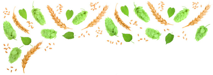 hop cones with ears of wheat isolated on white background with copy space for your text. Top view....