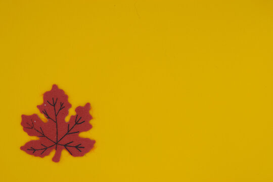 Red Felt Leaf With Copyspace