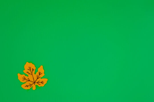 Yellow Felt Leaf With Copyspace