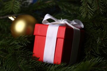 christmas background - gift box and christmas ball on fir tree branches