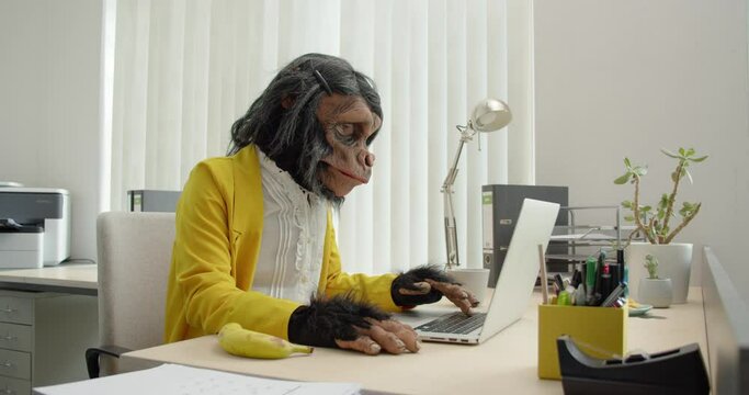 Monkey Business Woman in Office typing