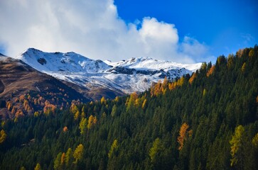Fototapeta na wymiar first snow in the davos mountains. Beautiful colored autumn forests. View of the snowy mountain peak Chorbsch Horn. Davos Klosters Mountains. Wanderlust. High quality photo.