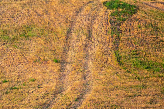 Campos en la comarca de Solsones. Catalunya. Espa&ntilde;a