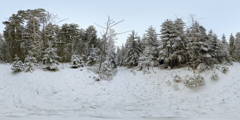 winter snow forest 360° cold