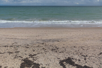 View of Atlantic Ocean surf sand and seaweed at Vero Beach Florida with no people