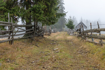 old wooden fence