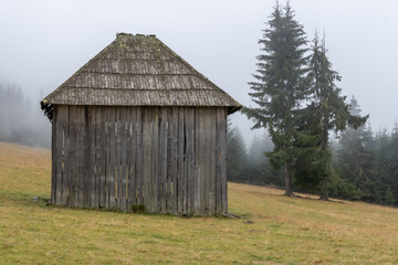 old barn in the woods