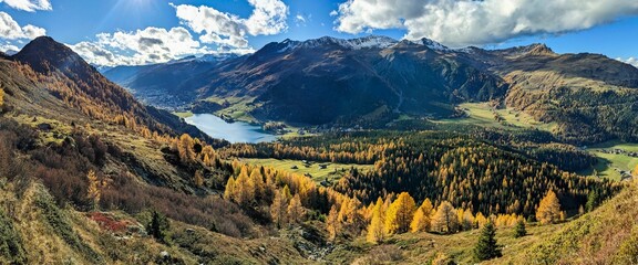 Naklejka na ściany i meble larch forest above lake davos. Panorama picture of Davos Klosters Mountains. autumn time in the mountains. Seehorn. High quality photo