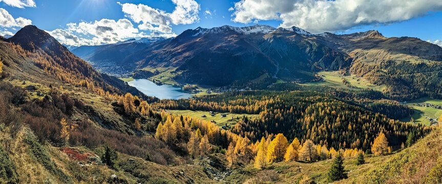 larch forest above lake davos. Panorama picture of Davos Klosters Mountains. autumn time in the mountains. Seehorn. High quality photo