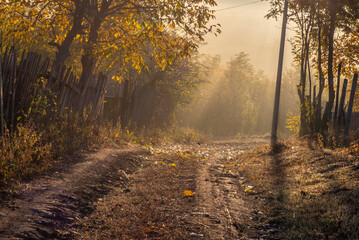 rural road countryside Early morning landscape. sun rays piercing through the trees on forest mist...
