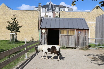 Ferme urbaine Anima, ville de Calais, département du Pas de Calais, France