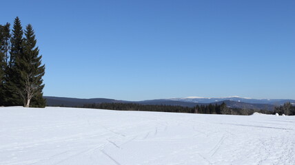 winter landscape with trees