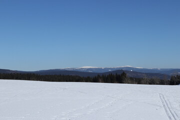 winter landscape with snow