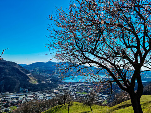 Piana di San Tomaso, Lecco, Italy