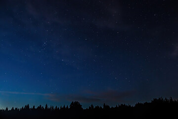 Night starry sky over forest. Tree silhouettes against  backdrop of stars.