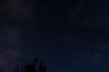 Fototapeta na wymiar Night starry sky over forest. Tree silhouettes against backdrop of stars.