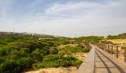 Wooden bridge among the greenery, stretching into the distance. Arenales del sol