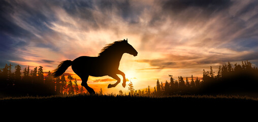 Free horse run at sunset