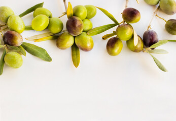 New crop olives and fresh leaves on white surface with copy space