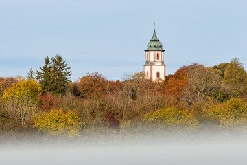 Behind the foggy meadow and the colorful bushes and trees, the tower of the Martin Luther Church...