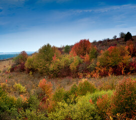 autumn colorful trees. A picturesque panoramic view of hills