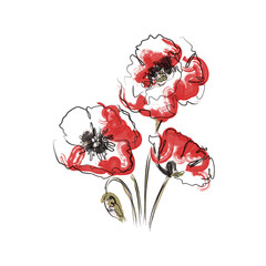 Abstract Three Red Poppy flowers. The effect of red gouache stains. Contemporary floral art style. Suitable for posters, logos and templates. Isolated on white background