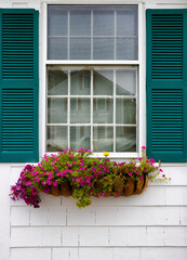 Fototapeta na wymiar Close up of an outdoor window flower box.