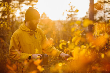 Survival in the wild. A man collects rose hips in the forest.