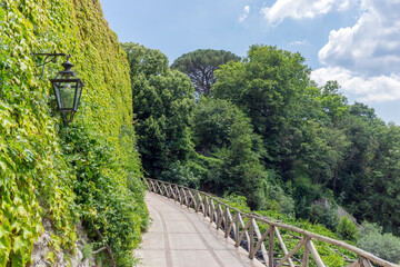 Fototapeta na wymiar Road in a green park with wooden railings