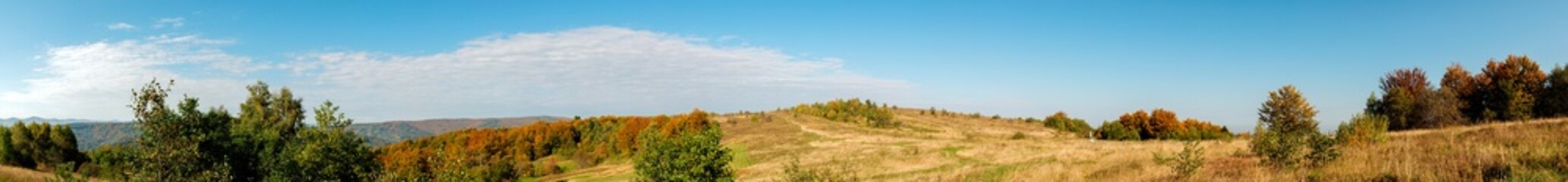 Panorama of autumn tree on a large lawn.