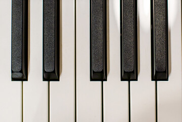 Piano keys top view. Piano octave of seven keys