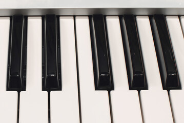 Black and white piano keys. Piano keys