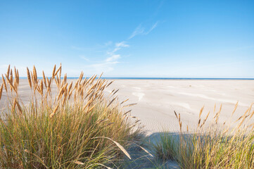 Fototapeta na wymiar Schiermonnikoog ,The Netherlands.Empty dunes ,beach and sea on a sunny late afternoon