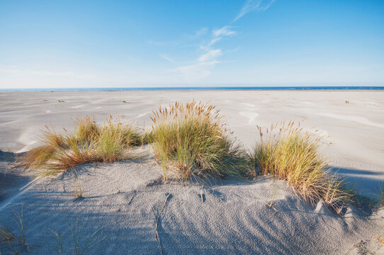 Schiermonnikoog ,The Netherlands.Empty dunes ,beach and sea on a sunny late afternoon