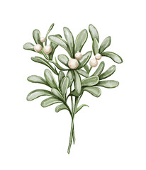 Watercolor vintage Christmas green bunch of mistletoe with berry isolated on white background. Hand drawn illustration sketch