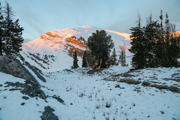 Beautiful sunrise in Wyoming mountains, with snow. Pack llamas sitting in the distance during a...