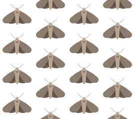 Vector seamless pattern of flat hand drawn moth isolated on white background