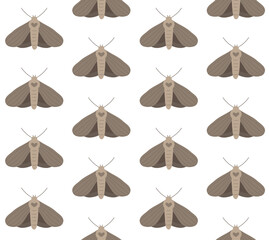 Obraz premium Vector seamless pattern of flat hand drawn moth isolated on white background
