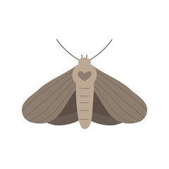 Vector flat hand drawn moth isolated on white background