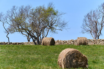 Rolls of hay sit on the grass in a field near the ocean, bordered by stone walls.